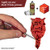 Army Painter Speedpaint 2.0 Blood Red