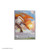 105ct Sleeves MTG ECL Eirdu