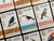 Wingspan Americas