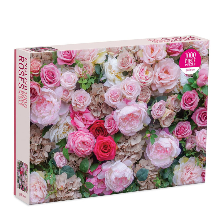 1000 Pc English Roses