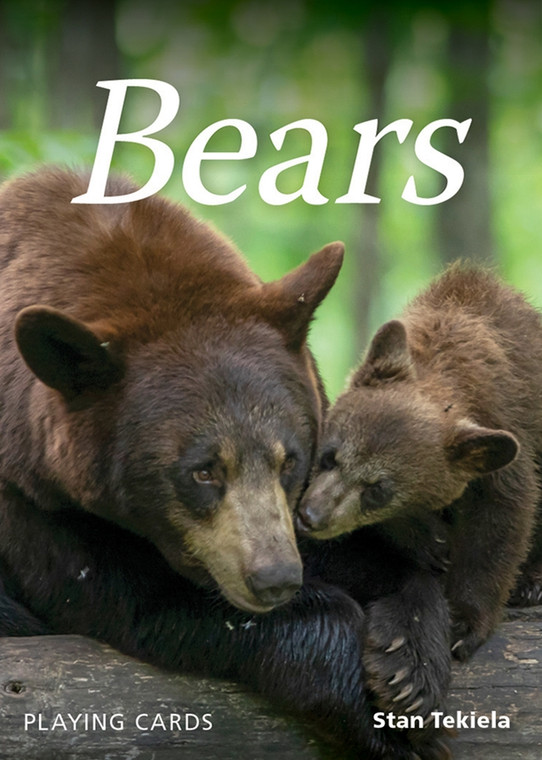 Playing Cards Bears