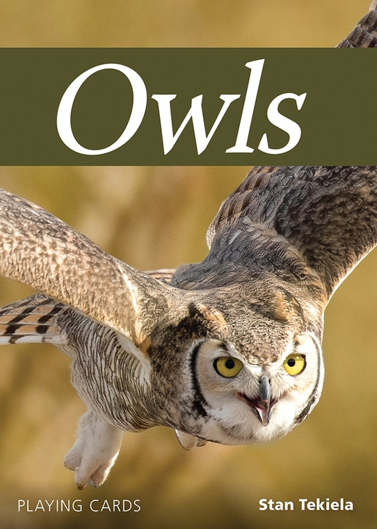 Playing Cards Owls