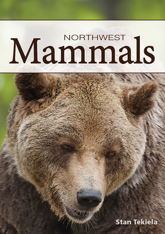 Playing Cards Mammals