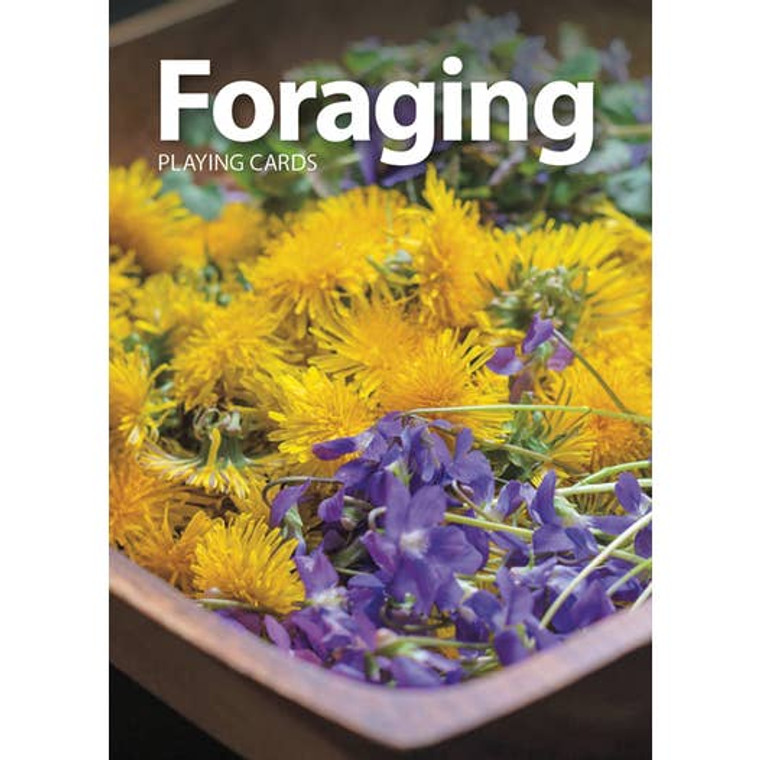 Playing Cards Foraging