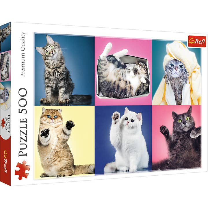 500pc Cat Collage