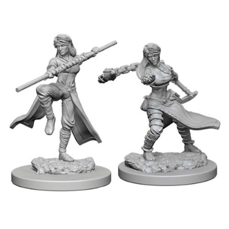 Unpainted PC Human Monk Female NM 72634