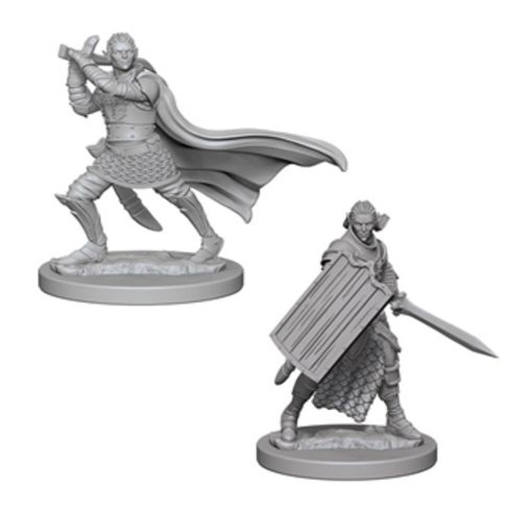 Unpainted PC Elf Paladin Male DC 72608