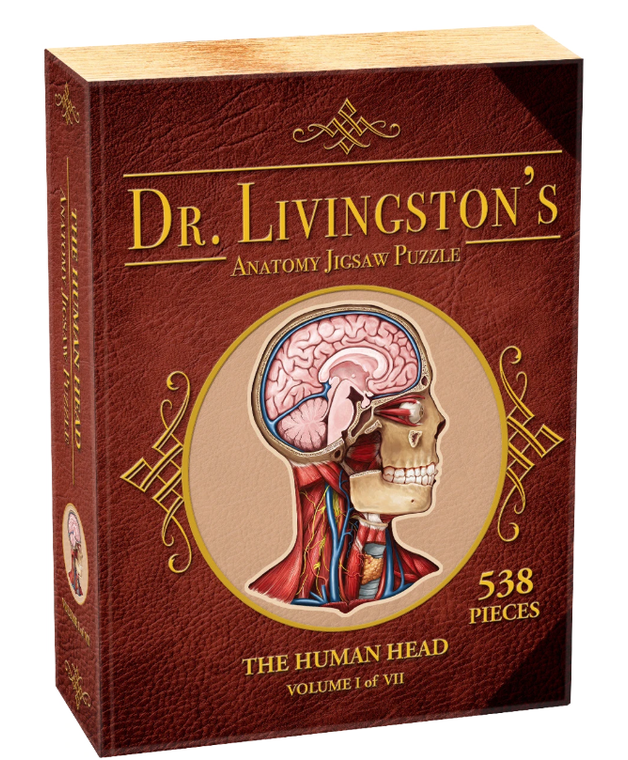 538 Pc The Human Head Dr Livingston's Anatomy Jigsaw Puzzle Volume I of VII