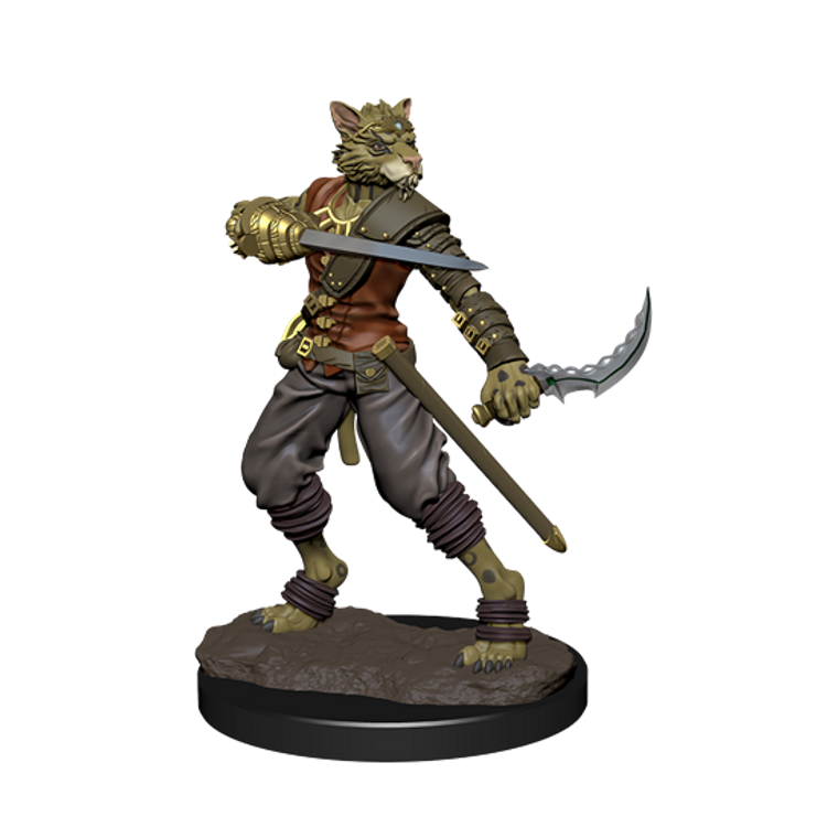 IOTR Premium Tabaxi Rogue Male