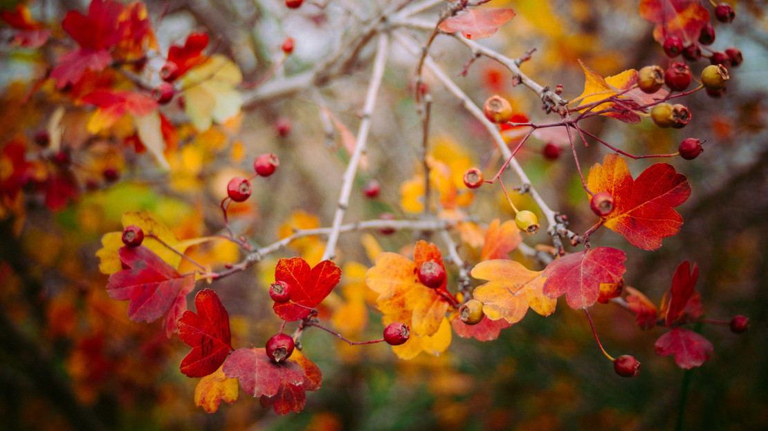 Your Fall Style Guide Your Fall Style Guide