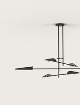 Bion ceiling