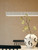 Calipso Linear Stand Alone