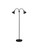 Standing Ray