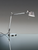 Tolomeo Mini