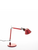 Tolomeo Micro