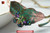 100% Hand Painted Art Butterfly Bracelet Elegant Artistic Style - Original Design #101 100% Hand Painted Art Butterfly Bracelet Elegant Artistic Style - Original Design #101