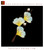 Elegant Silk Velvet Gold Splashed Ginkgo Leaf  New Design Brooch Ronghua Style Handmade Art Jewelry #102