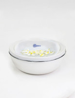 Belava Pedicure Bowl in White Foot Soak