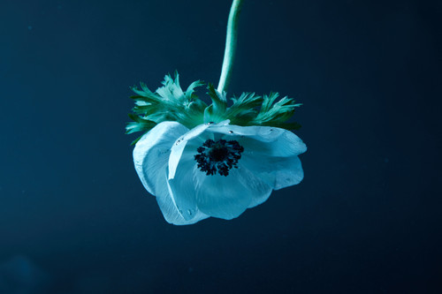 Test Product