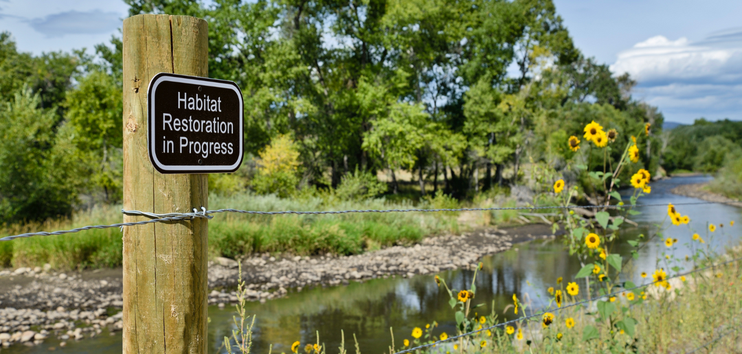 Restoring Balance to Disturbed Streams