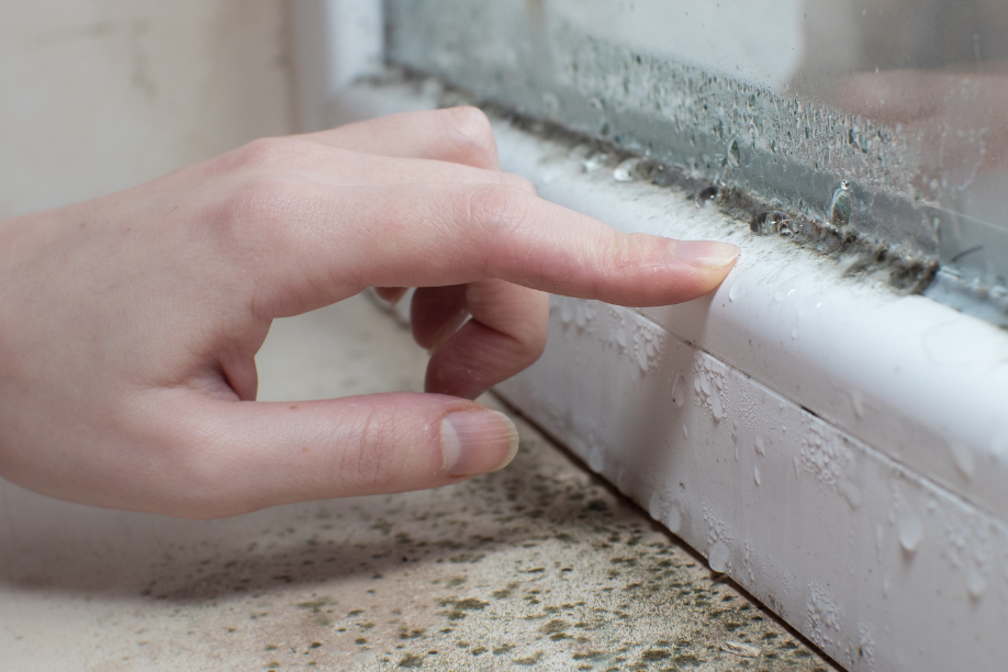 The Unseen Dangers Within Our Buildings: How to Address Water Intrusion, Mold and Poor Indoor Air Quality