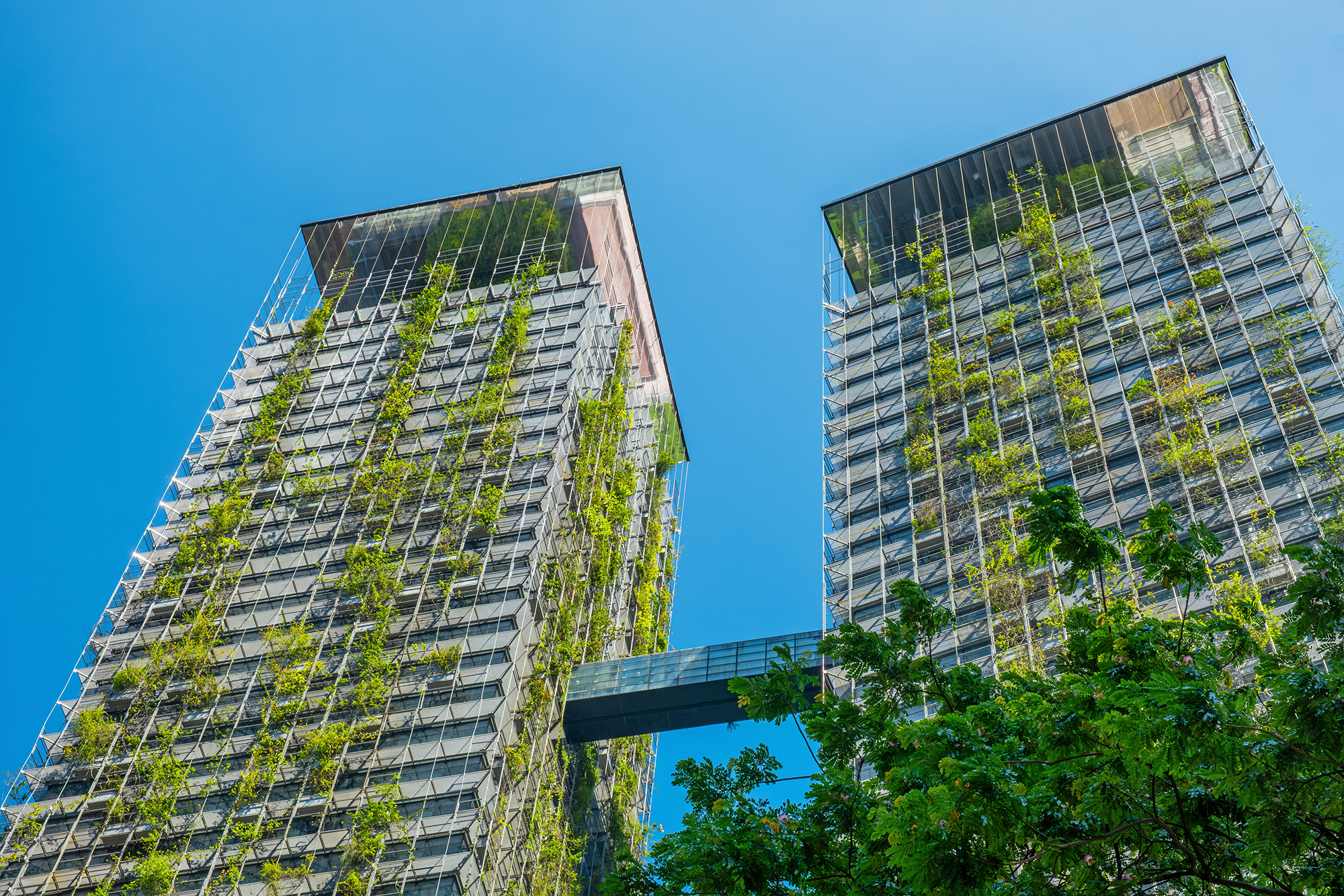 Examples of Nature in Design