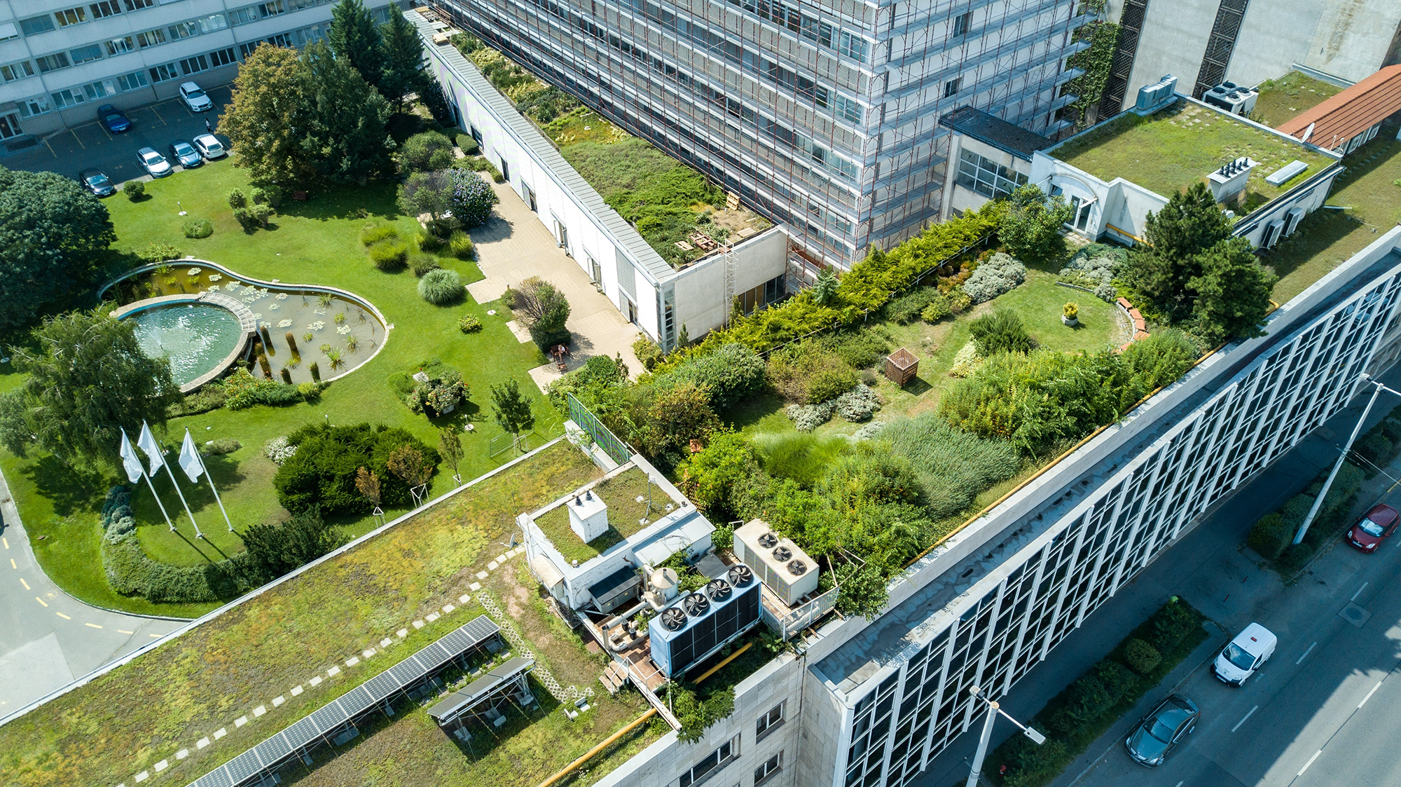 Bob Vila Discusses Green Building