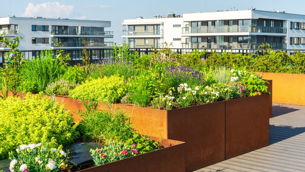 What are Green Roofs and Why do They Matter?