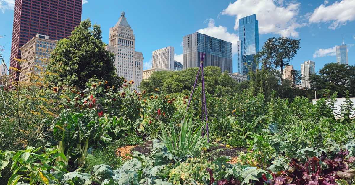 Shipping Containers are Revolutionizing the Urban Garden