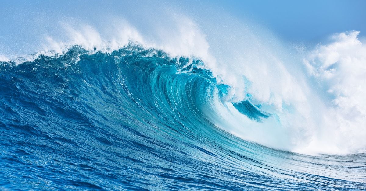 Harnessing Wave Power for Electricity