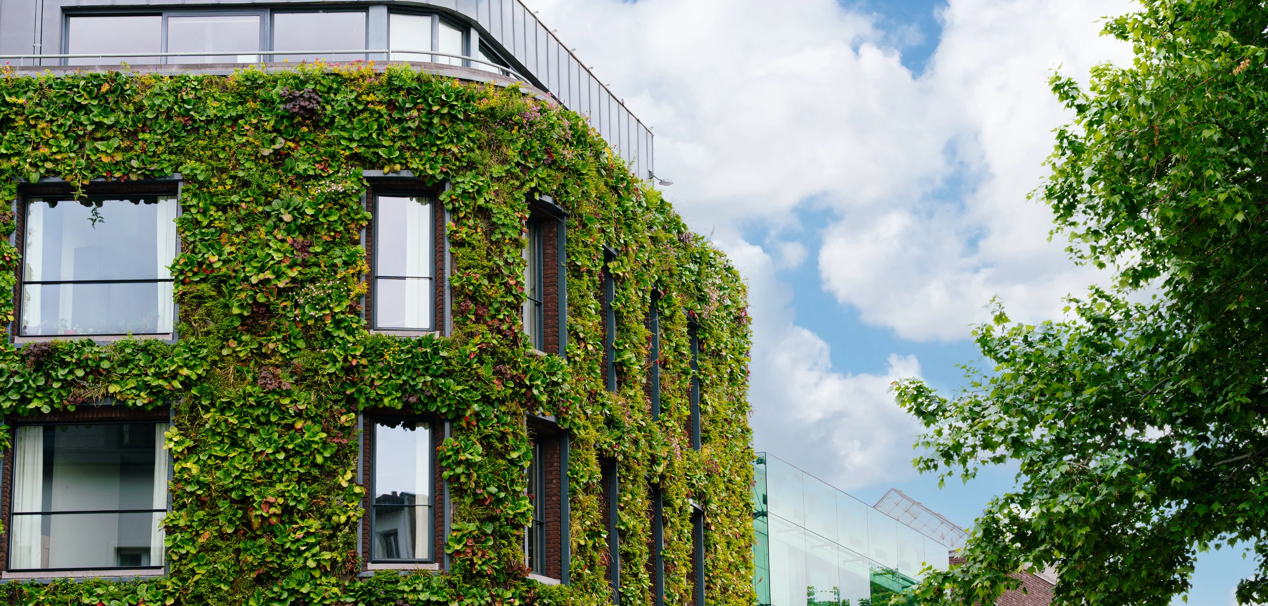 Building Respoding To Climate Designing for Tomorrow: Green Building and Climate Resilience ...