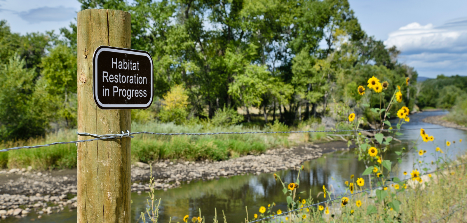 Restoring Balance to Disturbed Streams