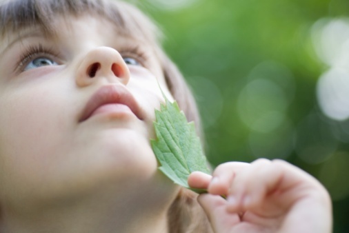 Green building trends