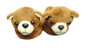 Teddy Bear Slippers for Wellie Wishers