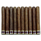 Cain 550 Habano 10-Pack