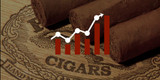 Best Cigars in 2023: Discover the Top Cigars in the World