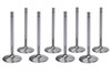 SBC C/P 2.100 Intake Valves