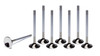 GM LS 1.615 Exhaust Valves