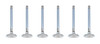 Buick V6 C/6 1.500in Exhaust Valves