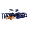 Track Lowering Spring Kit 15-23 Mustang