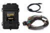 Elite 1500 w/Basic Univ. Wire-in Harness Kit