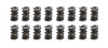 1.600 Triple Valve Spring Set (16)