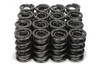 1.340 Dia Valve Springs (12pk)