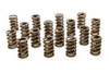 1.244 Single Valve Springs w/Damper (16)