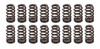 1.290 Valve Springs - Ovate Beehive (16)