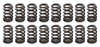 1.105 Valve Springs - Ovate Beehive (16)