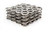 1.625 Dual Valve Springs (16)