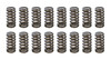1.025 Valve Springs - Ovate Beehive (16)
