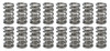 1.274 Dual Valve Springs GM LS (16)