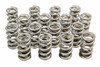 1.274 Dual Valve Springs GM LS (16)